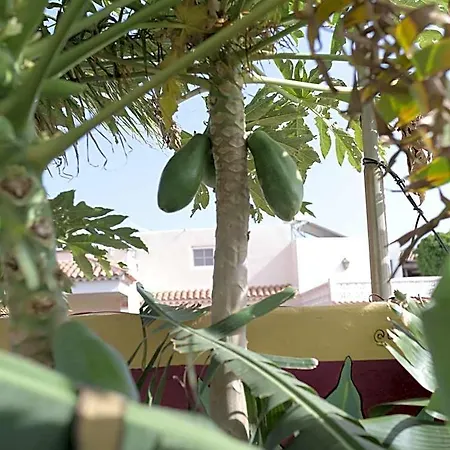 Amigos Nest Granadilla De Abona