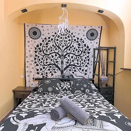 Отель Amigos Nest *