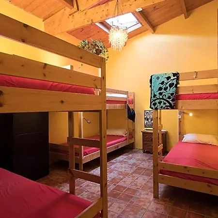 Amigos Nest بيت شباب *