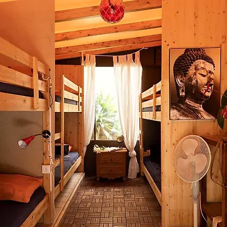 Amigos Nest Hotel *