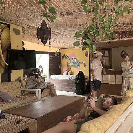 Отель Amigos Nest