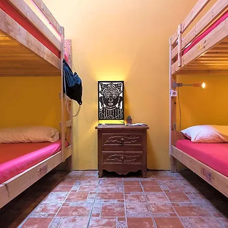 Hotel Amigos Nest *